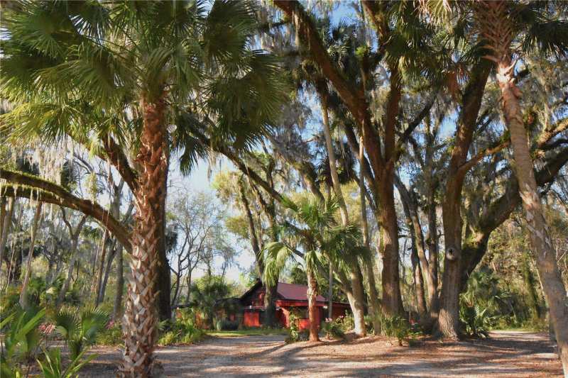 3 bedroom Single Family Residence at 1302 SE Wacahoota Road, Leitner Tr E Levy Grant, Micanopy — photo 1