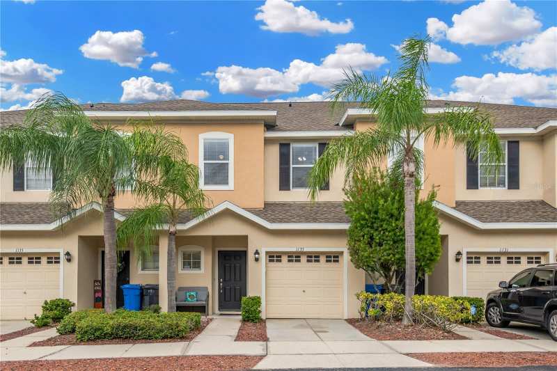 3 bedroom Townhouse at 1133 Andrew Aviles Circle, Alexandria Place, Tampa — photo 1