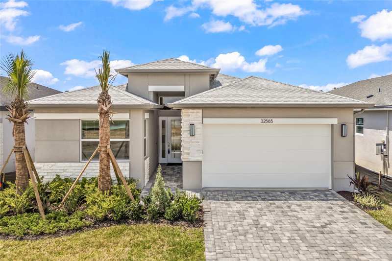 3 bedroom Single Family Residence at 32565 Veneto Place, Valencia Ridge, Wesley Chapel — photo 1