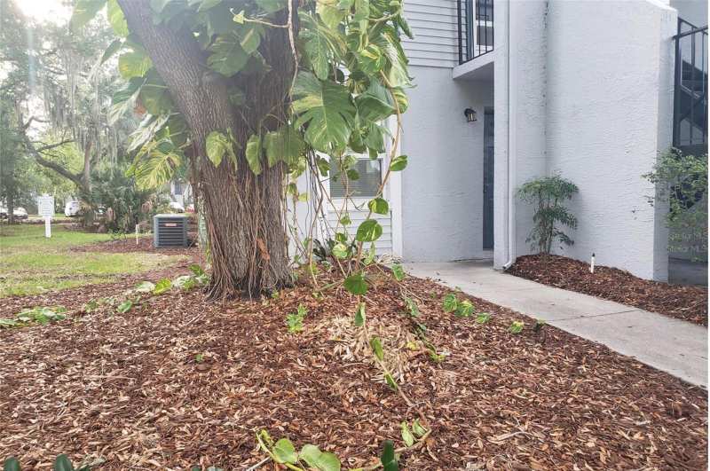 1 bedroom Condominium at 7100 Waterside Drive, Waterside Condo I, Tampa — photo 1