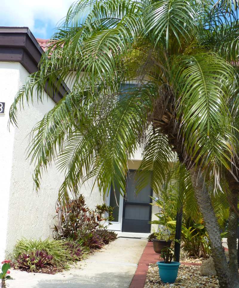 3 bedroom Townhouse at 8718 Bay Court, Ocean Woods Stage 10-C, Cape Canaveral — photo 1