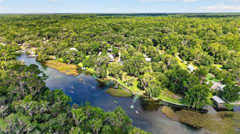 9275 SW 186Th Terrace, luxury home for sale in Dunnellon