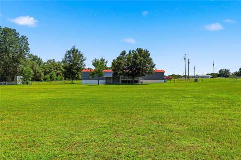 7930 Froggy Lane, home for sale in Zephyrhills 33540