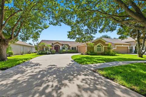 3720 Treeline Drive, pool for sale in Valrico
