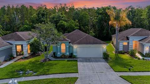 5526 Gallant Fox Court, home for sale in Wesley Chapel 33544