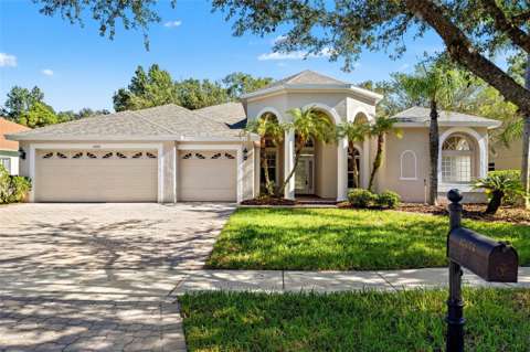 17353 Emerald Chase Drive, home for sale in Tampa 33647