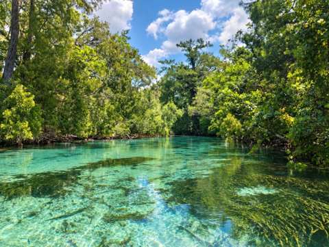 7071 Mertal Street, home for sale in Weeki Wachee 34607