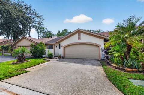 4004 Shoreside Circle, home for sale in Tampa 33624