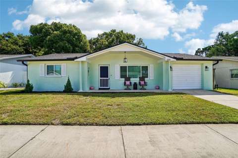 3420 Paloma Drive, home for sale in Holiday 34690