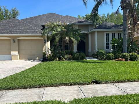 26612 Shoregrass Drive, pool for sale in Wesley Chapel