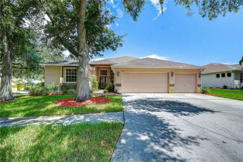 2202 Longmore Circle, pool for sale in Valrico