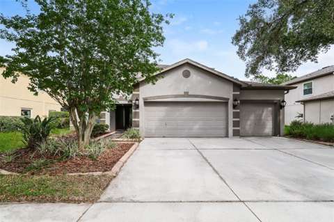 14831 Heronglen Drive, home for sale in Lithia 33547