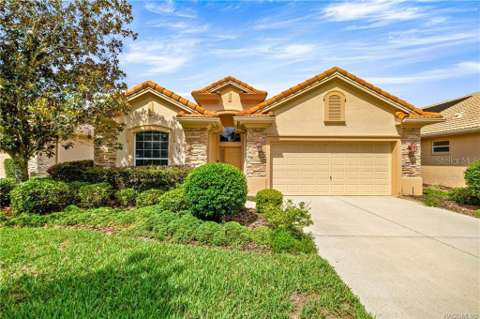 1328 W Diamond Shore Loop, home for sale in Hernando 34442