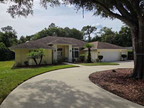 109 Byrsonima Circle, home for sale in Homosassa 34446