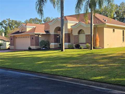 1030 Rowland Pickert Lane, home for sale in Lutz 33548