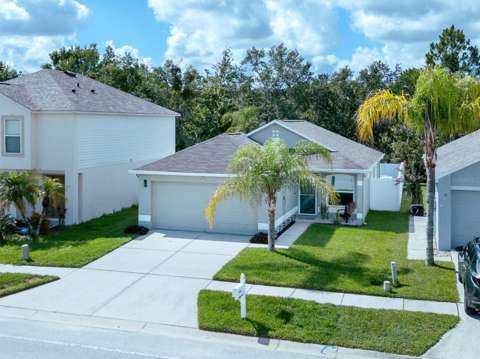 30516 Birdhouse Drive, pool for sale in Wesley Chapel