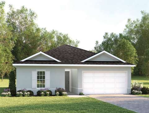 8860 Wildflower Field Lane, home for sale in Wildwood 34785
