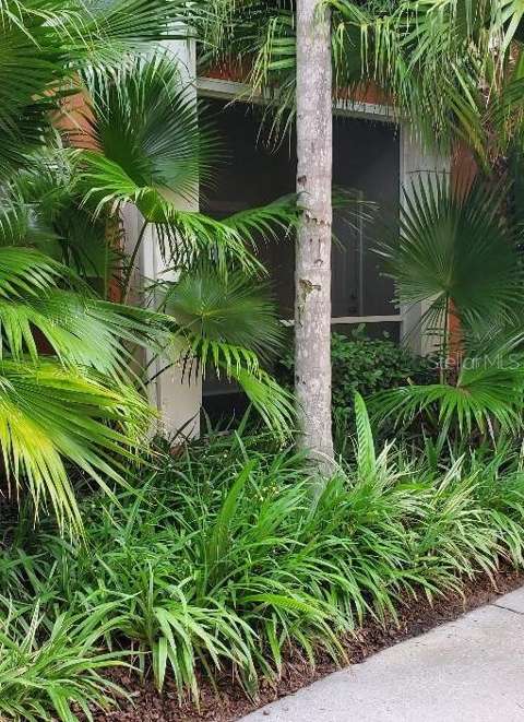 4207 S Dale Mabry Highway #5109, home for sale in Tampa 33611