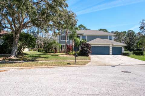 4037 Auston Way, home for sale in Palm Harbor 34685