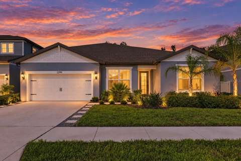 12919 Willow Grove Drive, pool for sale in Riverview