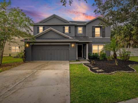 7335 Bridgeview Drive, home for sale in Wesley Chapel 33545