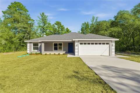40 Bay Drive, home for sale in Ocklawaha 32179