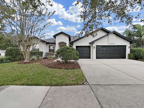 9310 Mangrove Court, home for sale in Tampa 33647