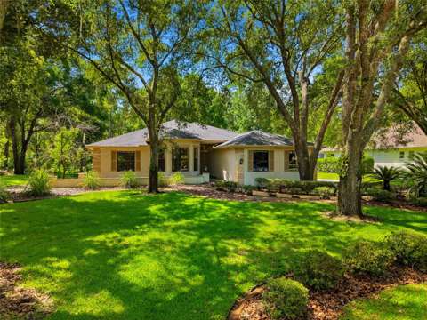9020 Shenandoah Run, home for sale in Wesley Chapel 33544