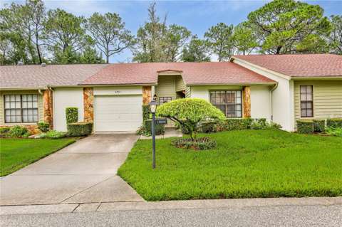 6591 Brambleleaf Drive, home for sale in Spring Hill 34606