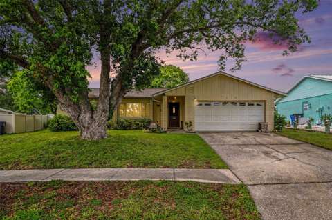2815 Linden Tree Street, home for sale in Seffner 33584