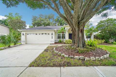 1605 Sand Hollow Lane, $300k–$500k for sale in Valrico
