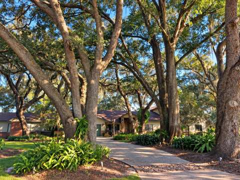 15211 Vinola Place, home for sale in Montverde 34756