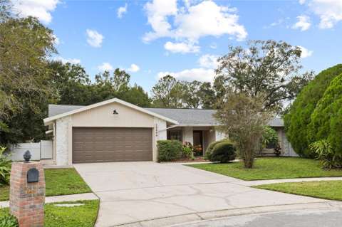 15804 Ironware Place, home for sale in Tampa 33624