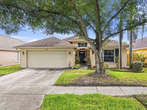 10271 Oasis Palm Dr, home for sale on Oasis Palm Drive