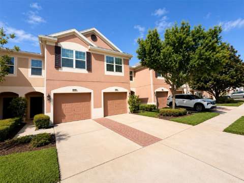 26544 Castleview Way, home for sale in Wesley Chapel 33544