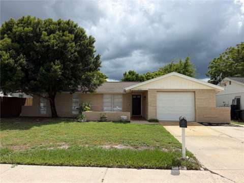 6810 El Camino Paloma Street, starter home for sale in Port Richey