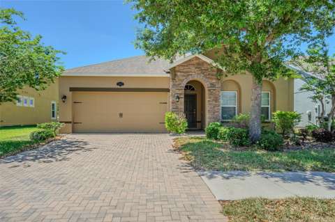 1667 Nature View Drive, waterfront for sale in Lutz