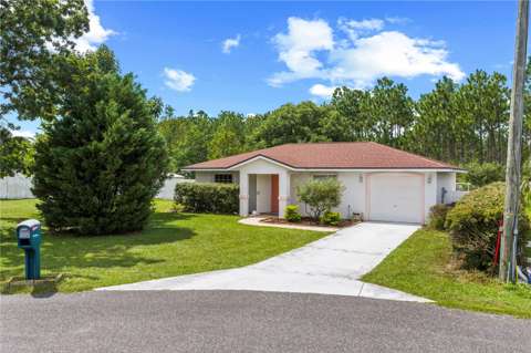 8 Pecan Drive Run, starter home for sale in Ocala