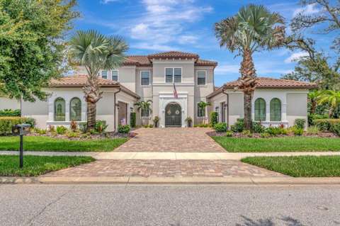 14922 Fishhawk Preserve Drive, luxury home for sale in Lithia