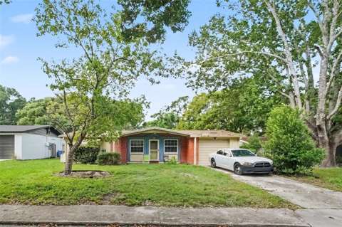 6249 Maplewood Drive, home for sale in New Port Richey 34653