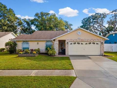 8350 Royal Hart Drive, home for sale in New Port Richey 34653