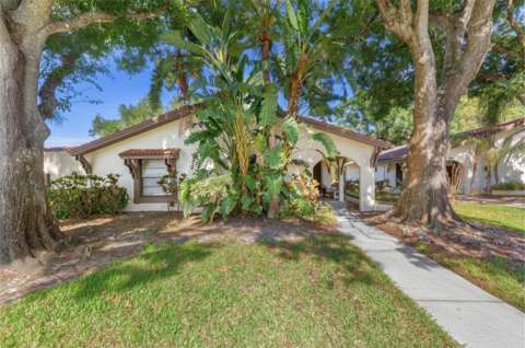 3446 Tarpon Woods Boulevard, home for sale on Tarpon Woods Boulevard