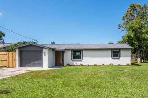 4539 Needle Palm Drive, home for sale in New Port Richey 34652