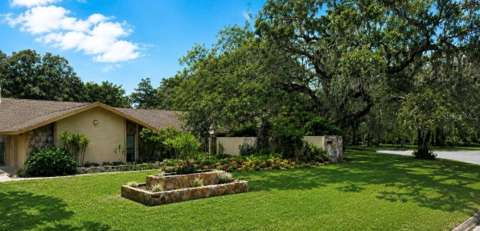 6701 Pemberton View Drive, home for sale in Seffner 33584