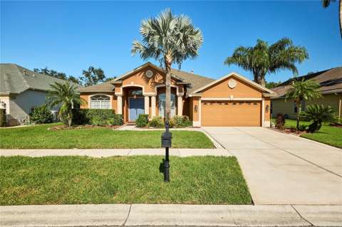 18016 Royal Forest Drive, home for sale in Tampa 33647