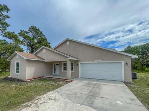 15316 Scaup Duck Avenue, starter home for sale in Weeki Wachee