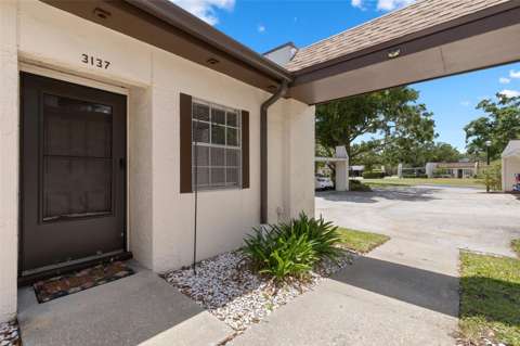 3137 Mission Grove Drive, home for sale in Palm Harbor 34684