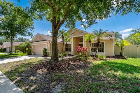 8211 Canyon Creek Way, home for sale in Tampa 33647