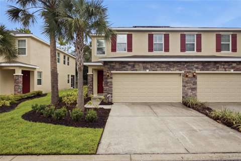 13219 Canopy Creek Drive, home for sale in Tampa 33625
