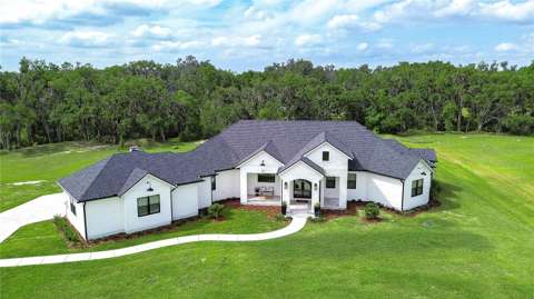 111 Alafia Estates Lane, luxury home for sale in Lithia